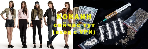ешки Алзамай