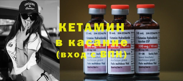 крисы Надым