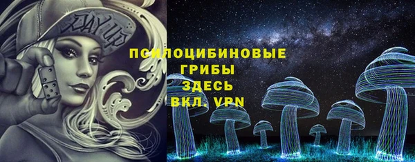 ешки Алзамай